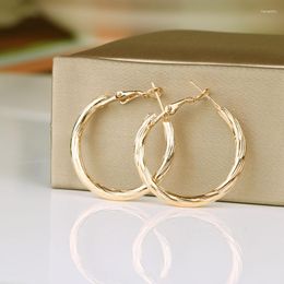 Hoop Earrings Gold And Silver Colour Round Small Big Earring For Women Alloy Wholesale Ear Fashion Jewellery 2023 CN(Origin)