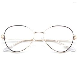 Sunglasses Frames HM005 Design Two Tones Metal Round Optical Glasses