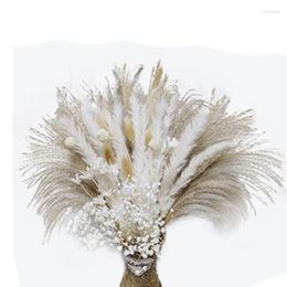 Decorative Flowers Dried Pampas Grass 65PCS White Decor 17In Small Natural Bouquet In Vase Plant Dry