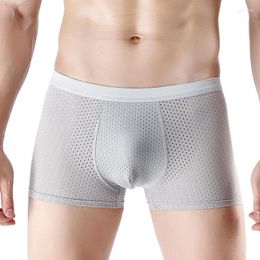 Underpants Sexy U Pouch Men Underwear Boxers Mens Boxer Shorts Cuecas Panties Man Mesh Holes Hollow Breathable Comfortable Homme