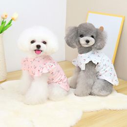 Dog Apparel Clothes For Small Dogs 2023 Spring Summer T Shirt Dress Clothing Pet Puppy Fashion Cute Bichon Teddy Costume Lace SleeveDog