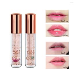 Lip Gloss 24K Gold Foil Moisturising Oil Can Be Superimposed On Lipstick Dried Flowers Refreshing