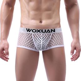 Underpants 5pcs/lot Mens Underwear Sexy Boxers Low Rise Breathable Male Bulge Pouch Panties Mesh See Through Boxer Shorts Trunks