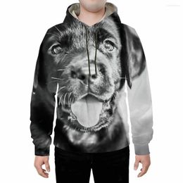 Men's Hoodies Factory Direct Sales Of Foreign Trade 2023 Animal Series 3D Printed Clothing And Women's Leisure Long-sleeved