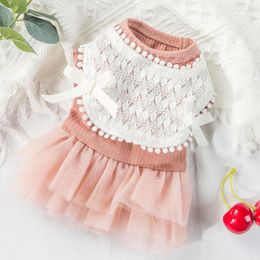 Dog Apparel Lace Dress Clothes Breathable Dogs Clothing Pet Outfits Small Cute Spring Summer Cartoon Yorkies Pink Girl Ropa Para Perro