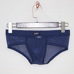 Underpants Men's Underwear Mesh Translucent Colour Sexy Shorts Transparent Briefs Mens Men Boxer Man