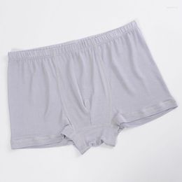 Underpants MEN BOXER Shorts Natural Silk Mens Panties Healthy Solid Cueca Underwear Calzoncillos