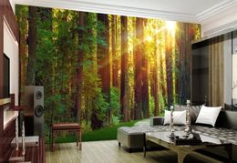 Wallpapers Sun Floresta Mural Po Papel de Parede Papel de Contato para Sala de estar Quarto 3D Murais de Parede Papéis Home Decor Personalizado