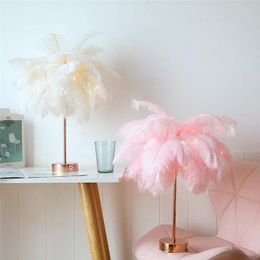 Table Lamps Nordic DIY LED Feather Lamp Home Wedding USB Battery Powered Night Light With Remote Control