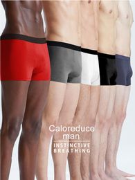 Underpants Men Underpant Boxer Cotton Underwear Shorts Ultra Soft Panties For Male Breatable Plus Size Gay 5 Pieces/Lot