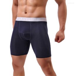 Underpants Sexy Men Underwear Cotton Boxers Shorts Push Up High Waist U Convex Pouch Long Leg Cueca Calzoncillo Large Size L-5XL