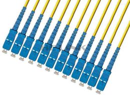 Fibre Optic Equipment LODFIBER 10M SC-SC Indoor Armoured Singlemode 12 Strands Cable Patch Cord 9/125