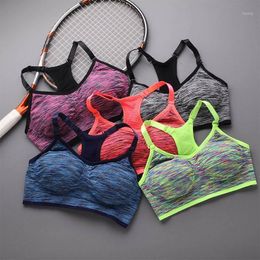 Gym Clothing Women Shockproof Sports Bras Elastic Wirefree Adjustable Fitness Top Sport Brassiere Push Up Seamless Running Yoga Bra