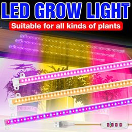 Grow Lights LED Light USB Full Spectrum Phyto Lamp Greenhouse Hydroponic Plant Growth Lampada Dimming Timing Tent Indoor Lighting