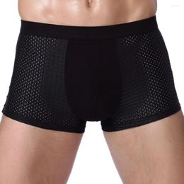 Underpants Bamboowear Bamboo Boxer Short Men Microfiber Briefs Underwear Compression