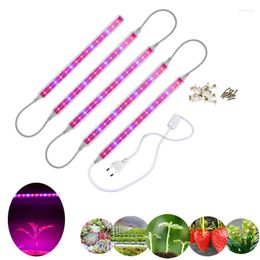 Grow Lights 110V 220V Full Spectrum Led Light T5 Tube EU US Plug Phyto Lamps Lamp Bar Hydroponic Plant Growth