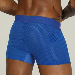 Underpants Men Underwear Boxer Cotton Breathable Comfortable Clothing Boxershorts Cueca Masculina Quick Dry