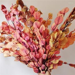 Decorative Flowers About 60cm Real Dried Natural Fresh Forever Apple Leaves Eucalyptus Branches Preserved For Home Decor Wedding