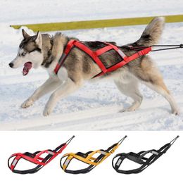 Dog Collars Waterproof Sled Harness Reflective Sledding Medium Large Strength Weighting Strap For Skijoring Scootering