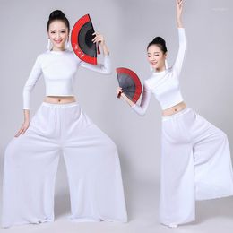 Stage Wear Chinese Traditional Women Dancer Costume Classical Fan Dance Belly Dancing Style National Art Performance