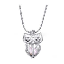 Charms 18Kgp Owl With Shiny Jewel Eyes Cages Lockets Wish Pearl/ Gem Beads Pendants Mountings For Diy Fashion Lovely Cute Jewelry Dr Ot1Tr