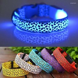 Dog Collars USB Charge Leopard LED Luminou Collar Rechargeable Nylon Night Safety Flashing Glow Leash Pet Supplies