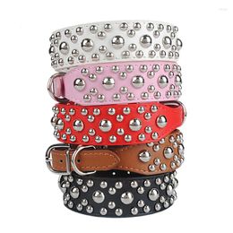 Dog Collars PipiFren Big Dogs Supplies Accessories For A Large Necklace Shop Pets Collar Puppy Collier Pour Chien Perro