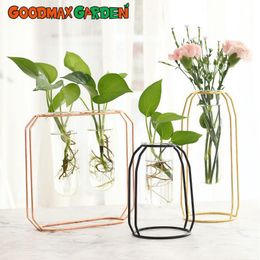 Vases Nordic Style Golden Flower Stand Glass Test Tube Vase Office Desktop Creative Arrangement Green Dill Hydroponic