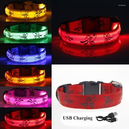 Dog Collars Cheervivi USB Rechargeable LED Collar Luminous Adjustable Glowing Nylon For Dogs Night Safety Bright Pet Supplies