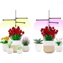 Grow Işıkları LED Işık 5V USB Bitki Lambası Kapalı Sebze Çiçek Fide Serası İçin Tam Spektrum Fito