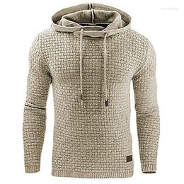 Men's Hoodies 2023 Men Brand Male Plaid Hooded Sweatshirt Mens Hoodie Tracksuit Sweat Coat Casual Sportswear M-4XL Drop