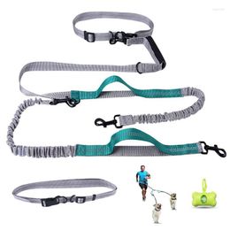 Dog Collars Double Leash Jogging Running Walking Set Reflective Adjustable Waist Belt For 2 Dogs Poop Bag