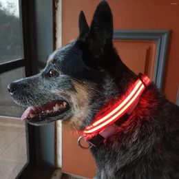 Dog Collars LED Pet Luminous Collar USB Charging Anti Lost Flashing Necklace Small Cat Accessories