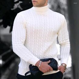 Men's Sweaters Autumn 2023 Fashion Long Sleeve High Neck Pullover T-shirt Men's Casual Solid Colour Loose Knit Sweater Men Simple