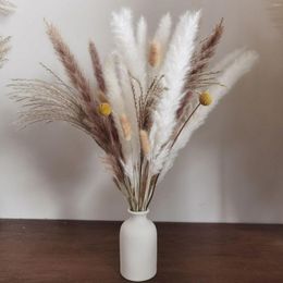 Decorative Flowers 10PiecesPampasGrass Fluffy Wedding Natural Reed Arrangement Decoration Dried Bouquet Bohemian Home