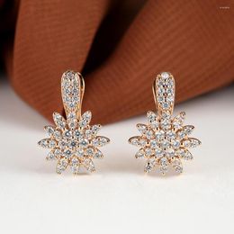 Hoop Earrings Exquisite 18K Gold Plated Snowflake For Women Trendy Full Small Zircon Stone Dangling Banquet Jewellery