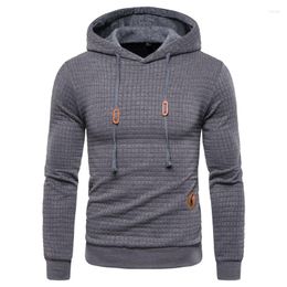 Men's Hoodies Drop Spring Autumn Men Casual Hooded Sweatshirt Plaid Pullover Hoodie Clothing Streetwear