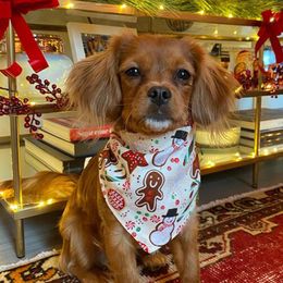 Dog Apparel Pet Christmas Bandana Cat Puppy Accessories For Small Dogs Supplies Triangle Scarf Products