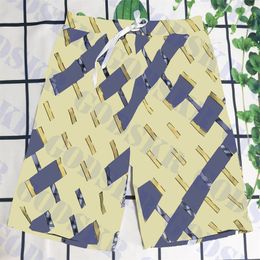 Letter Logo Swimming Pants Mens Beach Pant Textile Plaid Pattern Shorts Quick Drying Swim Trunks