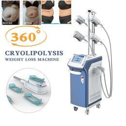 360 Cryolipolysis Fat Freezing Slimming Machine Cool Tech Sculpting 5 Cryo Handles Body Shaping For Double Chin Treatment Cellulite Removal