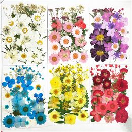 Decorative Flowers & Wreaths 36pcs Pressed Flower Mixed Dried DIY Art Floral Decors Collection Gift