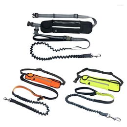 Dog Collars Hands Free Leash With Zipper Pouch Durable Reflective Bungee For Medium To Large Dogs Walking Jogging And Running