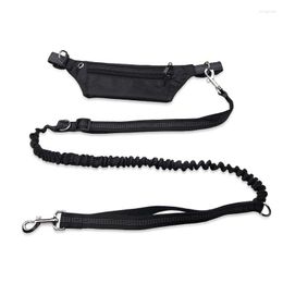 Dog Collars Reflective Pet Sport Leash Rope Walking Running Hiking With Waist Bag Phone Pocket Hand Free Adjustable Belt For Dogs Cats