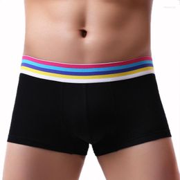 Underpants Brand Jockstrap Cock Pouch Boxer Cotton Men Underwear Sexy Panties