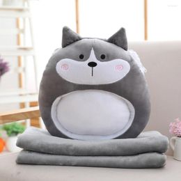Pillow 1 Set Plush Transparent Layer Middle Hollow Game Player Friendly Animal Fruit Image Blanket For Dorm