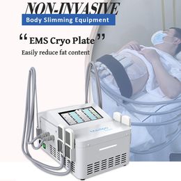 2 In 1 Cool Tech Sculpting Fat Freezing Slimming Machine 360 Cryotherapy Fat Freeze Equipment With EMS Function Cryo Pads Plate Muscle Builing Fat Loss Device