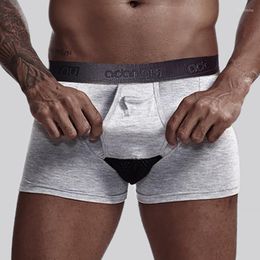 Underpants ADANNU Brand Gun Separate Men Underwear Boxer Cotton Breathable Male Pants U Pouch Comfortable Cueca Tanga