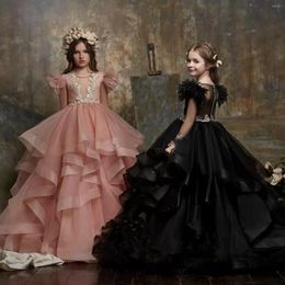 Girl Dresses Tiered Long Sleeves Flower For Wedding Sheer Bateau Neck Appliqued Toddler Pageant Gowns Tulle Ball Gown Kids Prom