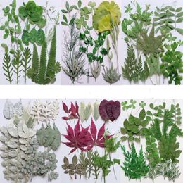 Decorative Flowers 1Set 21pcs Mixed Pressed Dried Leaves Flower Plant Herbarium For Bookmark Prop Jewellery Postcard Invitation Card Phone