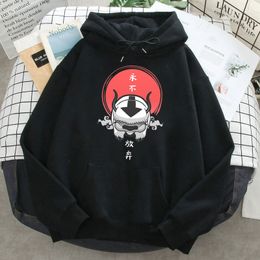 Mens Hoodies Sweatshirts Mens Fleece Hoodies Avatar Harajuku Print Casual Loose Sweatshirts Male Fashion Long Sleeve Autumn Hoody 230114